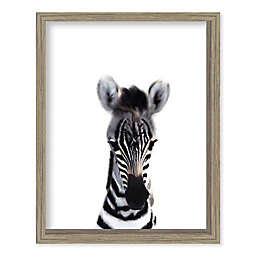 Boston Warehouse® Baby Zebra 12-Inch x 15-Inch Framed Wall Art