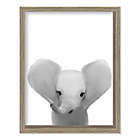 Alternate image 0 for Boston Warehouse&reg; Baby Elephant 15-Inch x 12-Inch Framed Wall Art