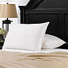 Alternate image 1 for Ella Jayne Cotton Side/Black Sleeper Bed Pillows (Set of 2)