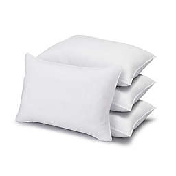 Ella Jayne Classic Side/Back Sleeper Queen Bed Pillows (Set of 4)