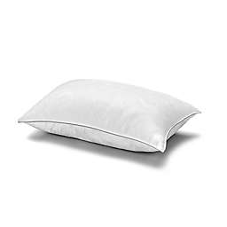 Ella Jayne Penthouse Microfiber Bed Pillow Collection