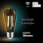 Alternate image 1 for Globe Electric 60-Watt Edison LED Smart Bulb
