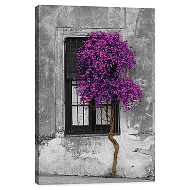 iCanvas Front Window Tree with Purple Color Pop Canvas Wall Art. View a larger version of this product image.