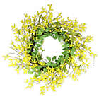 Alternate image 0 for Northlight&reg; 20-Inch Spring Wreath in Yellow/Green