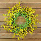 Alternate image 1 for Northlight&reg; 20-Inch Spring Wreath in Yellow/Green