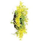 Alternate image 2 for Northlight&reg; 20-Inch Spring Wreath in Yellow/Green