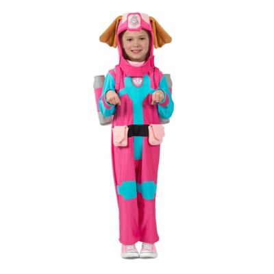 infant skye paw patrol costume