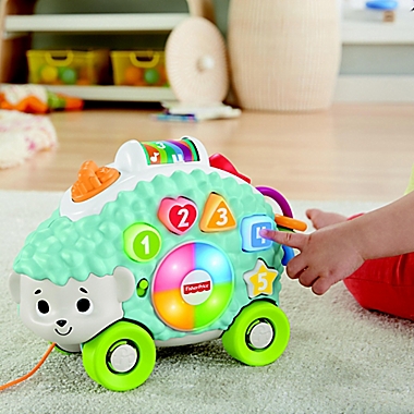 Fisher-Price® Linkimals™ Happy Shapes Hedgehog Interactive Toy