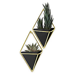 Umbra® Trigg Small Wall Planters in Brass/Black (Set of 2)
