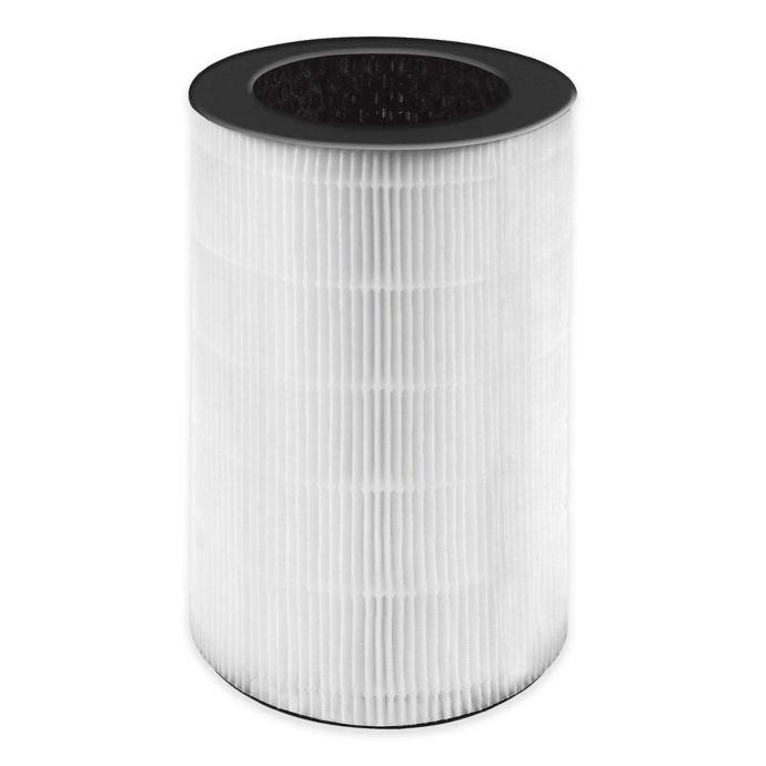bed bath and beyond hepa filter