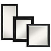 Amanti Art Grand Narrow Framed On the Door Mirror Collection