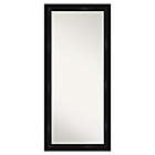 Alternate image 0 for Amanti Art Grand 30-Inch x 66-Inch Framed Full Length Floor/Leaner Mirror in Black