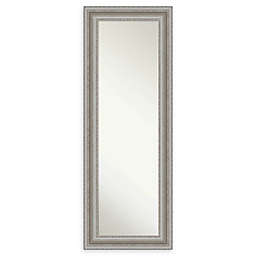Amanti Art Parlor 20-Inch x 54-Inch Framed On the Door Mirror in Nickel/Silver