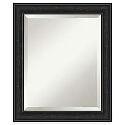 Amanti Art Shipwreck 20-Inch x 24-Inch Narrow Framed Bathroom Vanity Mirror in Black