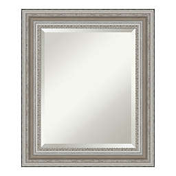 Amanti Art Parlor 22-Inch x 26-Inch Framed Bathroom Vanity Mirror in Nickel/Silver