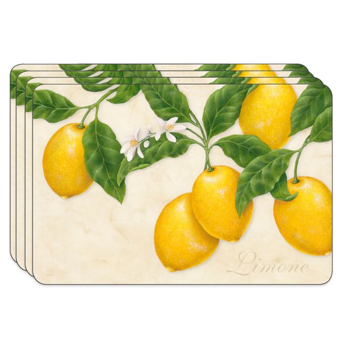 Jason Limone Hardboard Cork-Backed Placemats (Set of 4 ...