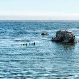 Naturalist Kayaking Tour by Spur Experiences®  (Pismo Beach, CA)