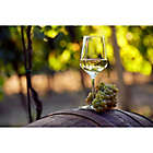 Alternate image 1 for Wine Tasting Tour in Napa Valley by Spur Experiences&reg; (San Francisco, CA)