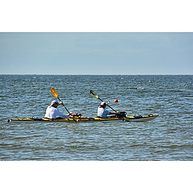 Half-Day Tandem Kayak Rental by Spur Experiences&reg; (Tampa, FL). View a larger version of this product image.