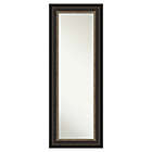 Alternate image 0 for Amanti Art Impact 20-Inch x 54-Inch Framed On the Door Mirror in Bronze