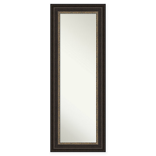 Alternate image 1 for Amanti Art Impact 20-Inch x 54-Inch Framed On the Door Mirror in Bronze