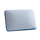 Alternate image 0 for Therapedic&reg; TruCool&reg; Serene Foam&reg; Medium Support Standard/Queen Pillow