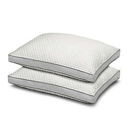 Ella Jayne Arctic Chill Cooling Standard/Queen Pillows (Set of 2)