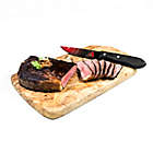 Alternate image 2 for MLB Arizona Diamonbacks 4-Piece Stainless Steel Steak Knife Set