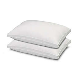 Ella Jayne Home Collection Soft Gel Stomach Sleeper Bed Pillows (Set of 2)