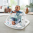 Alternate image 1 for Fisher-Price&reg; Sit-Me-Up Floor Seat in Grey/White