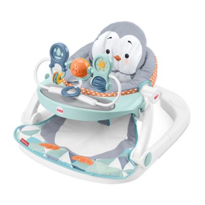 fisher price sit me up seat with tray