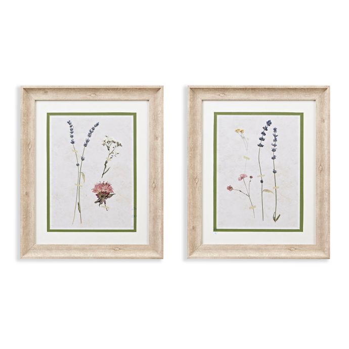 Martha Stewart Pressed Lavender Framed Graphic 19-Inch x 23-Inch Wall ...