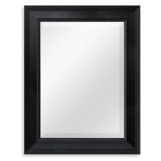 Alternate image 1 for 21.25-Inch x 27.5-Inch Decorative Mirror in Black