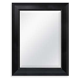 21.25-Inch x 27.5-Inch Decorative Mirror in Black
