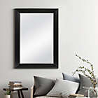 Alternate image 1 for Decorative 42.25-Inch x 30.25-Inch Wall Mirror in Black