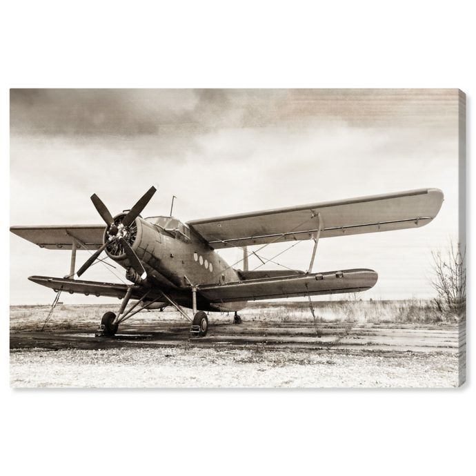 Oliver Gal Helix Airplane Canvas Wall Art Bed Bath Beyond