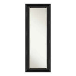 Amanti Art Ridge 20-Inch x 54-Inch Framed On the Door Mirror