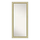 Alternate image 0 for Amanti Art Textured Light 29-Inch x 65-Inch Framed Full Length Floor/Leaner Mirror in Gold