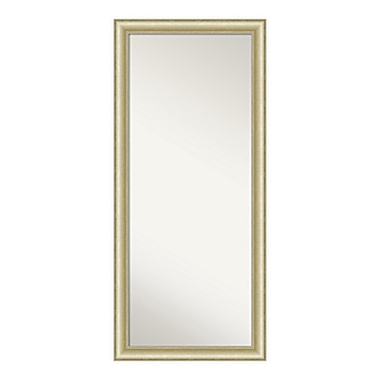 Amanti Art Textured Light 29-Inch x 65-Inch Framed Full Length Floor/Leaner Mirror in Gold. View a larger version of this product image.