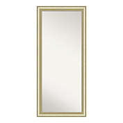 Amanti Art Textured Light 29-Inch x 65-Inch Framed Full Length Floor/Leaner Mirror in Gold