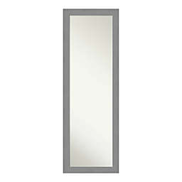 Amanti Art Brushed Nickel 18-Inch x 52-Inch Framed On the Door Mirror in Nickel/Silver