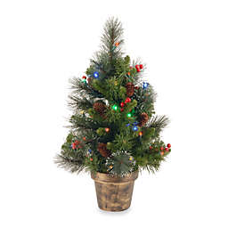 National Tree Company Crestwood Spruce 2-Foot Pre-Lit Tree with Multicolor Lights