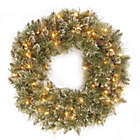 Alternate image 0 for National Tree Company 24-Inch Pre-Lit Glittery Bristle Pine Wreath with Clear Lights