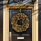 Alternate image 1 for National Tree Company 24-Inch Pre-Lit Glittery Bristle Pine Wreath with Clear Lights
