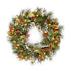 Alternate image 0 for National Tree 24-Inch Wintry Pine Pre-Lit Wreath with White Lights