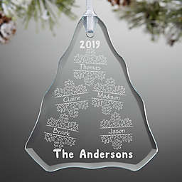 Falling Snowflake Family Personalized Ornament