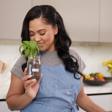 Back to the Roots Kitchen Herb Garden by Ayesha Curry. View a larger version of this product image.
