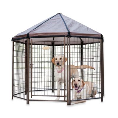 gazebo dog kennel