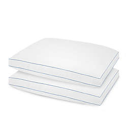 SofLOFT 2-Pack Extra-Firm Density Queen Pillows