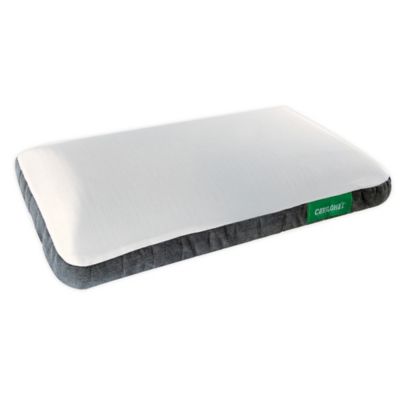 charcoal pillow bed bath and beyond